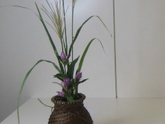 20201115ʐ^